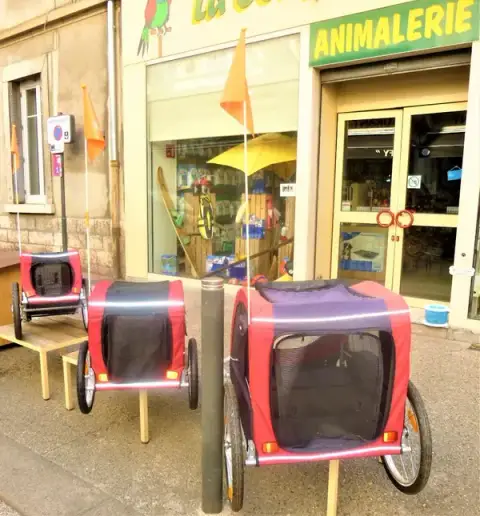 A La Compagnie des Animaux