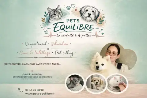 Pets Equilibre - Comportementaliste et éducateur, pet-sitter & soins animaliers