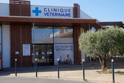 Clinique Vétérinaire VETODOC Thézan-Lès-Béziers