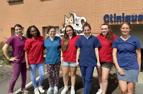 Veterinary Clinic Saint Caprais