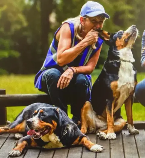 Lamy's Dog Educ