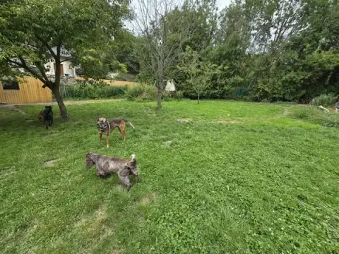SAS La Ferme Aux animaux