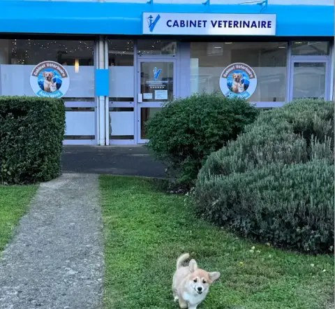 Anim’alpes vétérinaire