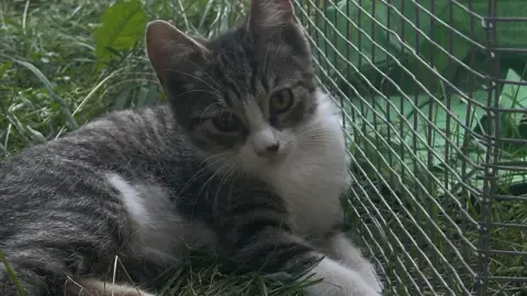 passer du temps avec votre animal de compagnie photo 5