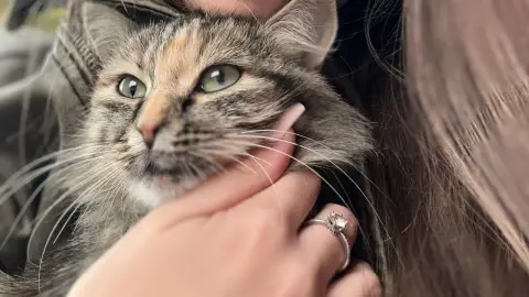 passer du temps avec votre animal de compagnie photo 3