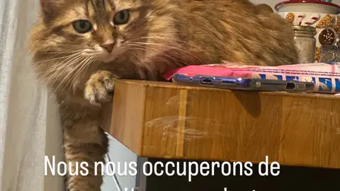 Garde chats chiens