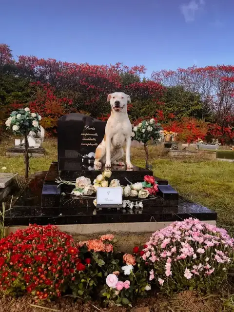 Cimetière animalier de l'Ecomard