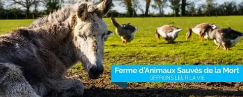Ferme d'Animaux Sauvés de la Mort