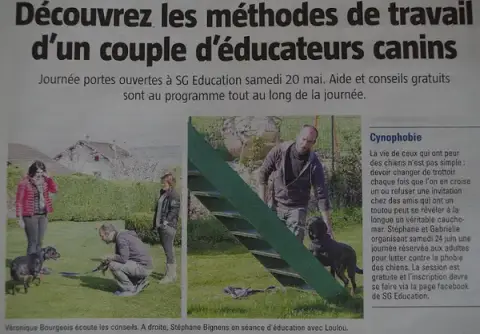 SG Education Canine