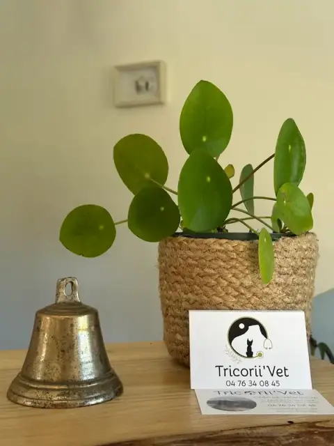 Tricorii'Vet
