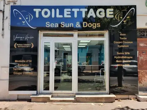 Sea Sun'And Dogs