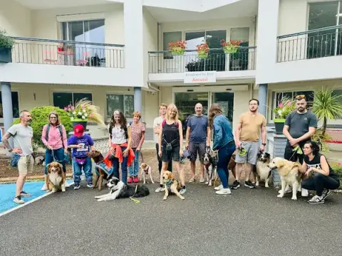 TEMPS 2 CHIENS Educateur canin comportement