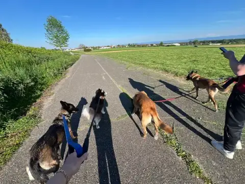 Les Amis de Mala
