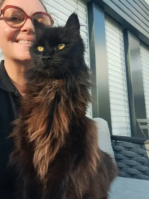 Entre Mes Mains - Garde chats, Communication Animale, Comportement félin et canin,Reiki, EFT,