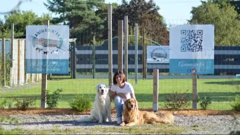 ANIMAGIN’44 - Educateur Comportementaliste canin Nantes