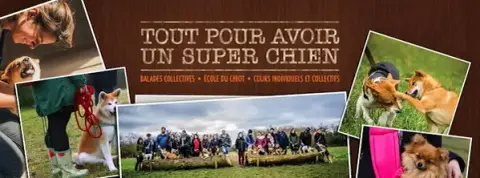 Educateur canin Meute citadine