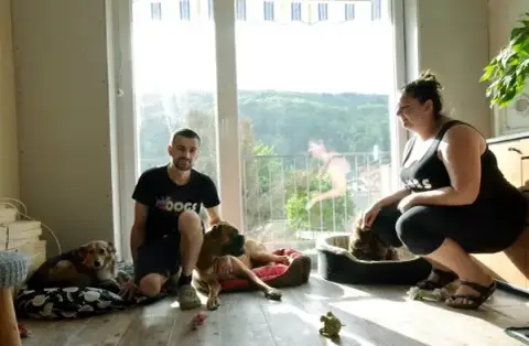 Dogs-sitter 57