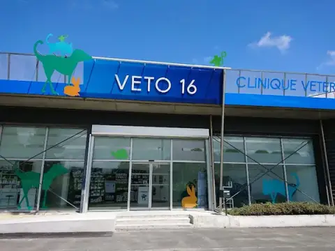 Veto 16
