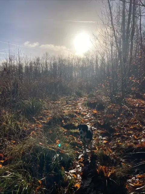 Promeneur / Educateur Canin / Balades en forêt, Hugo Collas