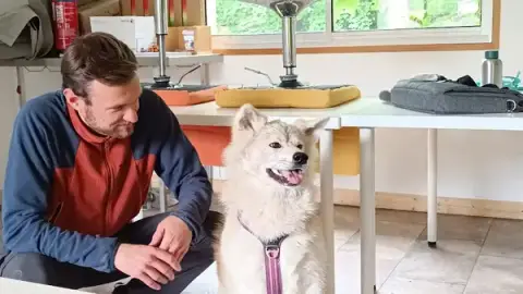 Cercle Canin De L'entre 2 Mers