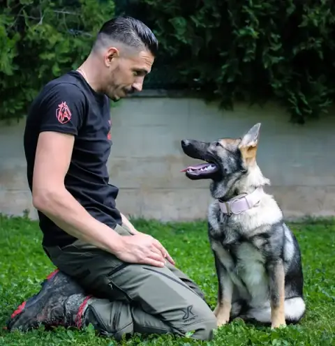 Sym Dog - Education Canine Marseille/Aubagne