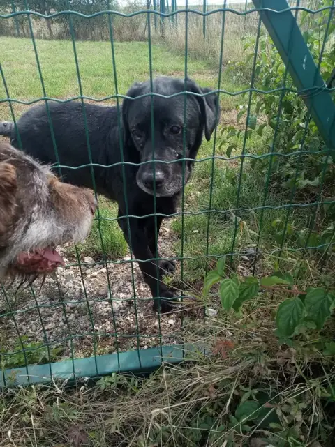 Le Relais des Animaux