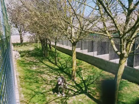 La Maison Canine & Féline