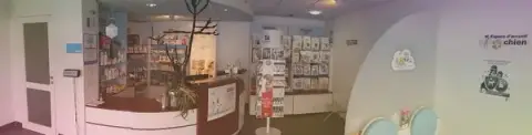 Clinique Vétérinaire Ar Mor Vannes