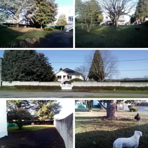 ManiDog Garde Animaux Domestiques/Promenade canine