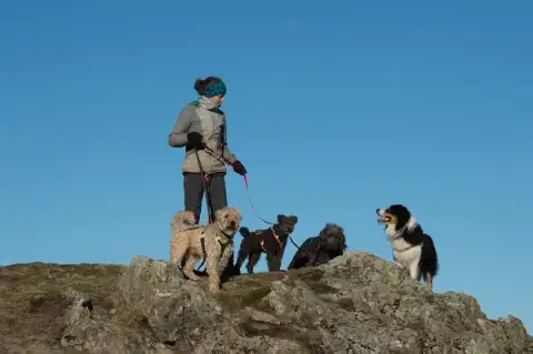 Bien avec mon chien