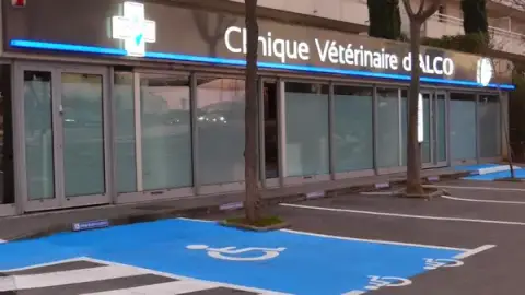 Veterinary Clinic Alco
