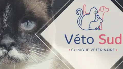 Veterinary Clinic VetoSud