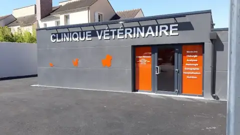 Veterinarian My Vet Clinic