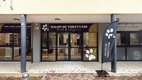 Poil d'élégance