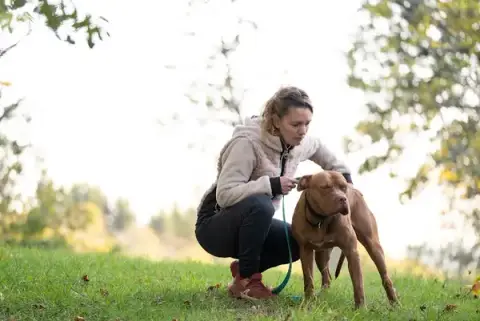 Symdog 15 éducation canine