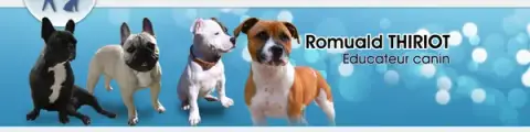 Educ'Services Romuald Thiriot - Pension canine Doubs