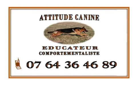 Attitude Canine