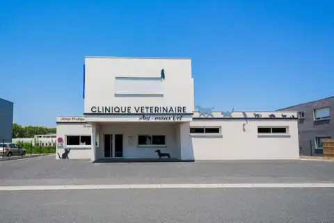 Veterinary Clinic-Ani Sore Vet