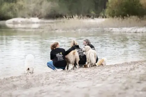 Cani Paradis - Éducateur canin & Pet sitter