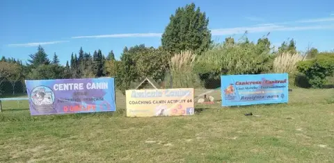 Amicale canine du Coaching canin activity 66