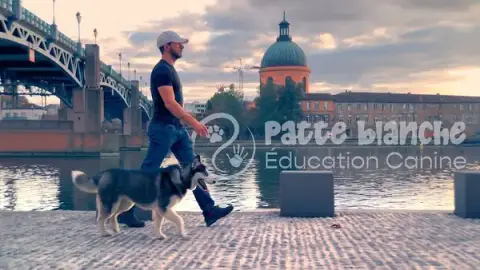 Patte Blanche Éducation Canine
