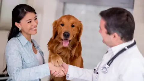 Clinique Vétérinaire Les Mimosas