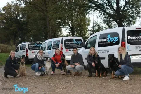 Respectdogs