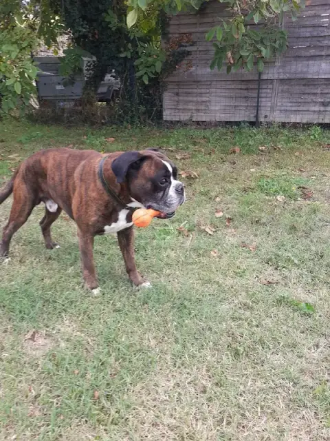Bien chez moi io