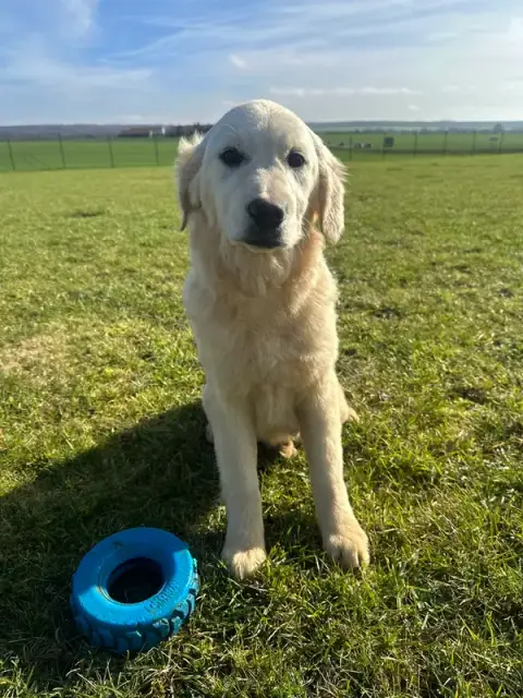AJM Canin