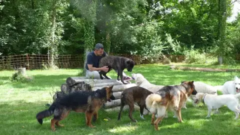Edukadog
