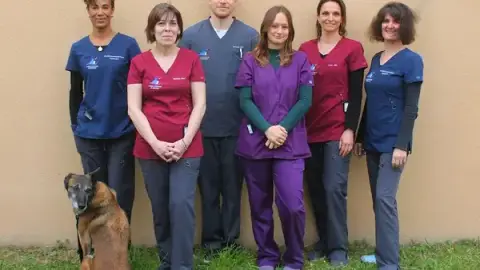 Veterinary Clinic Montfavet