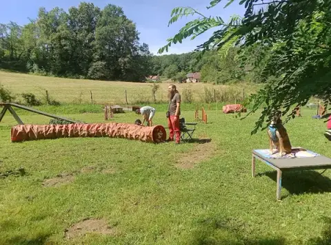 DogZone Education