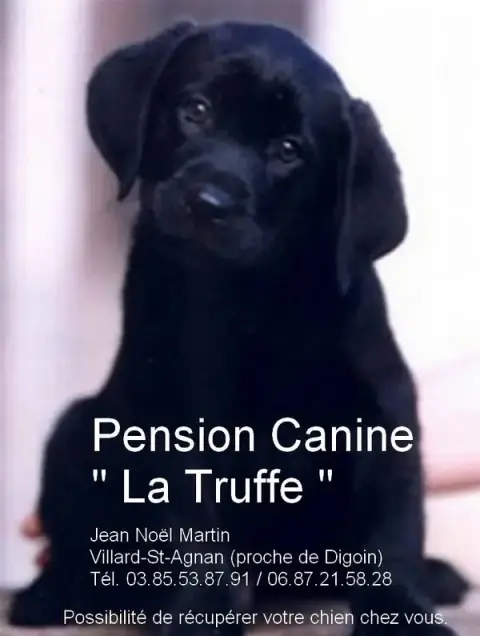 Pension Canine La Truffe