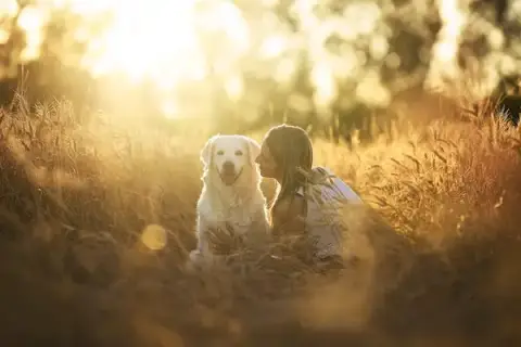 Educateur canin bien-être - Ariane